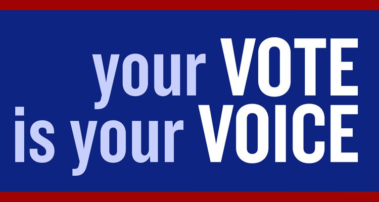 To Vote or Not to Vote