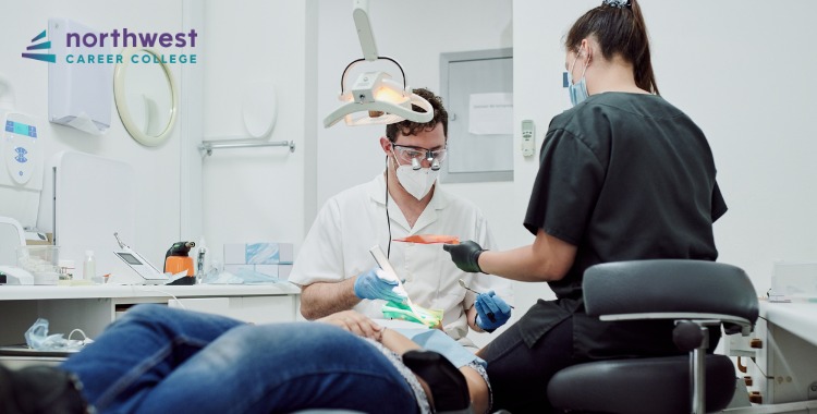 Why You Should Think About Becoming A Dental Assistant