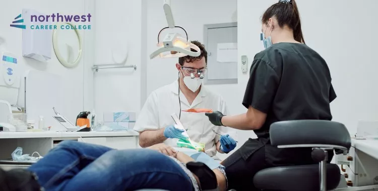 Why You Should Think About Becoming A Dental Assistant