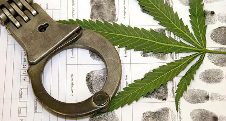 A single leaf of marijuana, handcuffs, and fingerprints of a person.