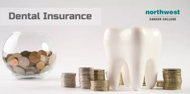 A large molar teeth model next to a stack of coins