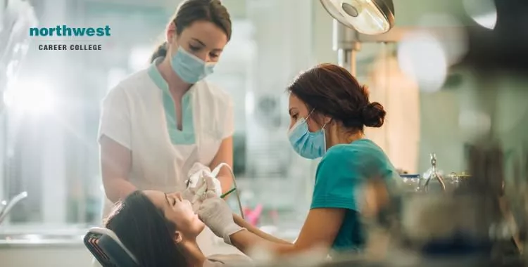 dental assistant performing dental drilling