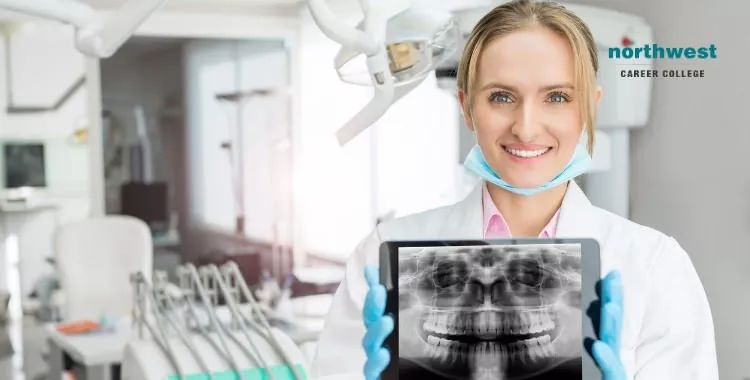 dental-assistant holding dental xray report