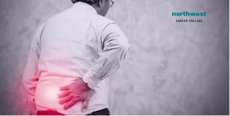 lower back pain