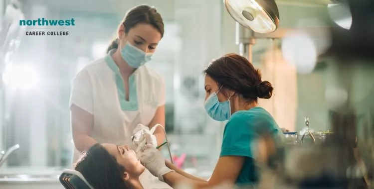 dental assistant performing dental