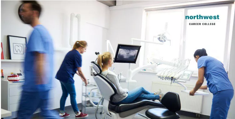 Dental Assistants in dentists clinic