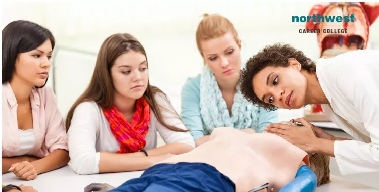 instructor demonstrates cpr