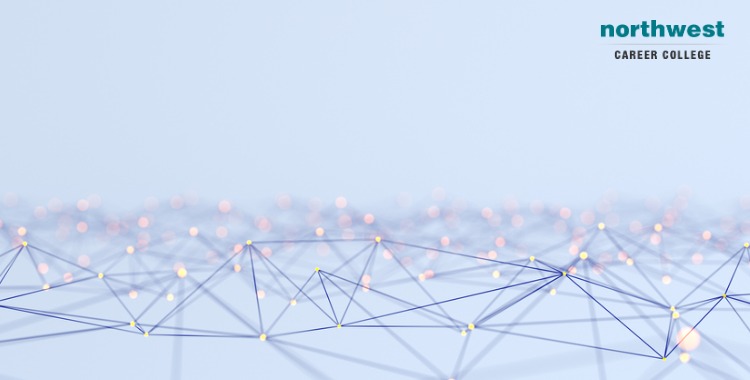 network abstract