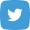 Twitter Icon