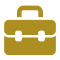 Program icon