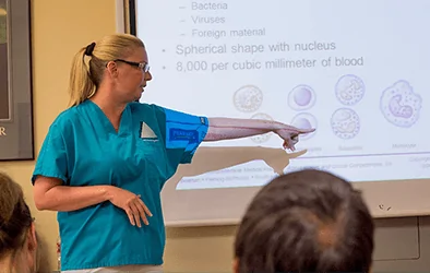 Learn Phlebotomy