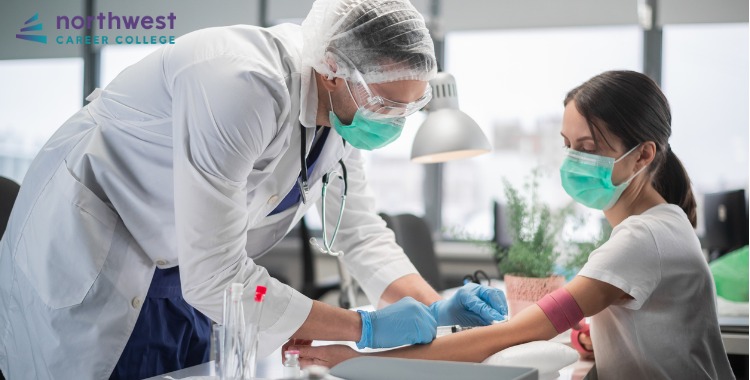 How to Start Your New Career in Phlebotomy