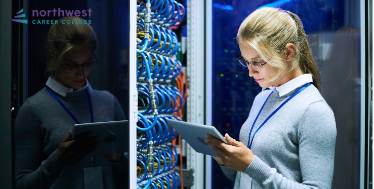 What Qualifications Does an IT Technician Need