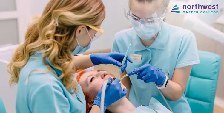 Top 5 Reasons Why You Should Pursue a Career in Dental Assisting