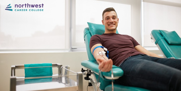 Exploring Your Options for Phlebotomy Studies in Las Vegas – Northwest Career College's Guide