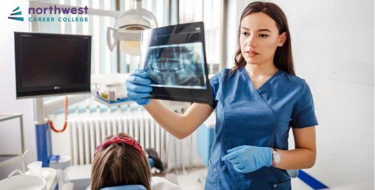 How Can I Succeed as a Dental Assistant