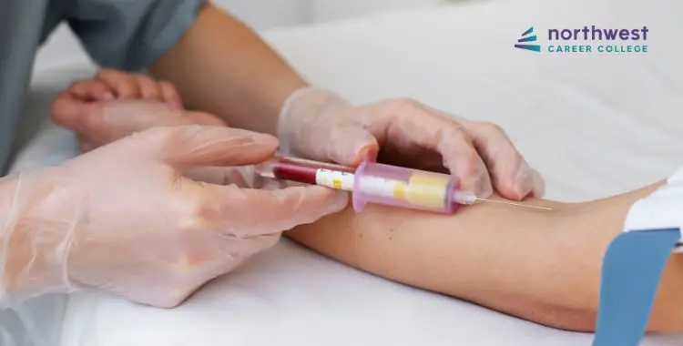 A healthcare professional draws blood from a patients arm using a syringe in a clinical setting.