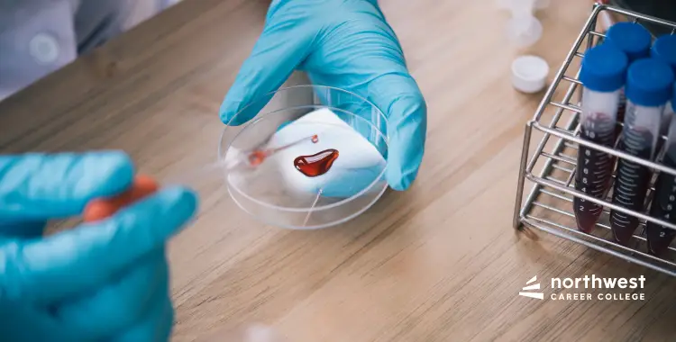 A gloved hand holds a petri dish with a blood sample, surrounded by test tubes and lab equipment on a wooden surface.