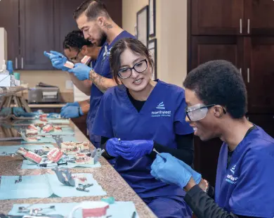 Students at dental assistant school practice techniques on models in a classroom setting.