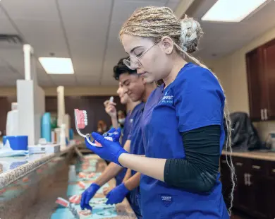 Students engaged in dental assistant training, practicing techniques at a countertop with dental models and tools.