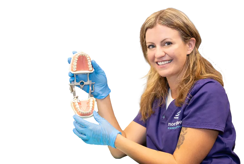 Smiling woman in gloves holds a dental model, showcasing skills from her dental assisting program.