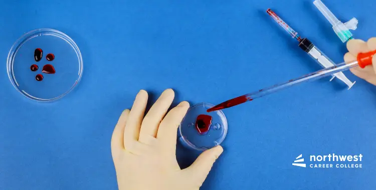 A gloved hand uses a pipette to transfer red liquid into a petri dish on a blue background.