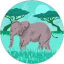 Aarica Tyler profile picture