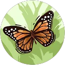 Google profile picture of Breelynn Hermann